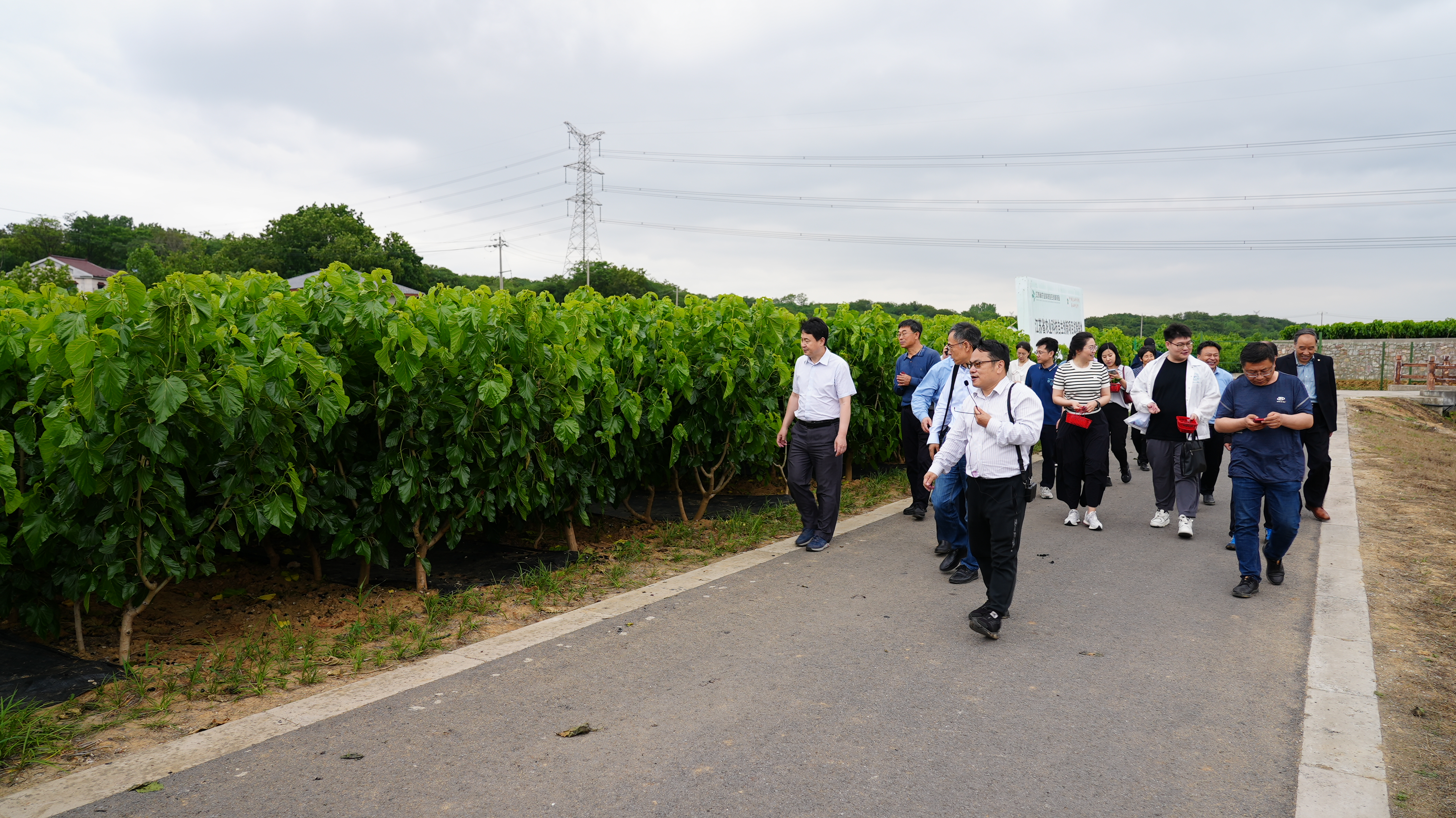 1684596437960866.jpg DSC02226.JPG