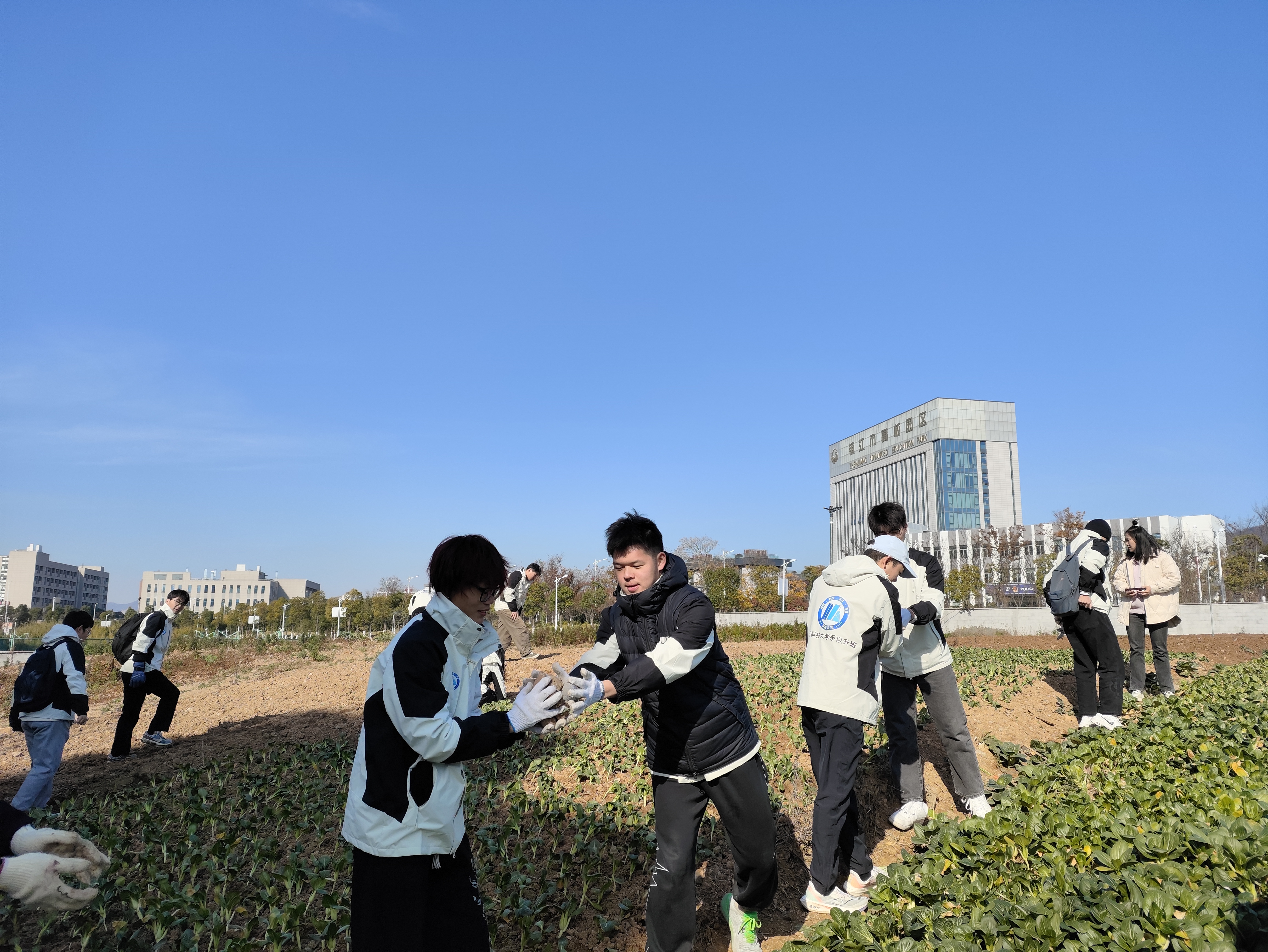 1701421515306684.jpg 劳动2.jpg