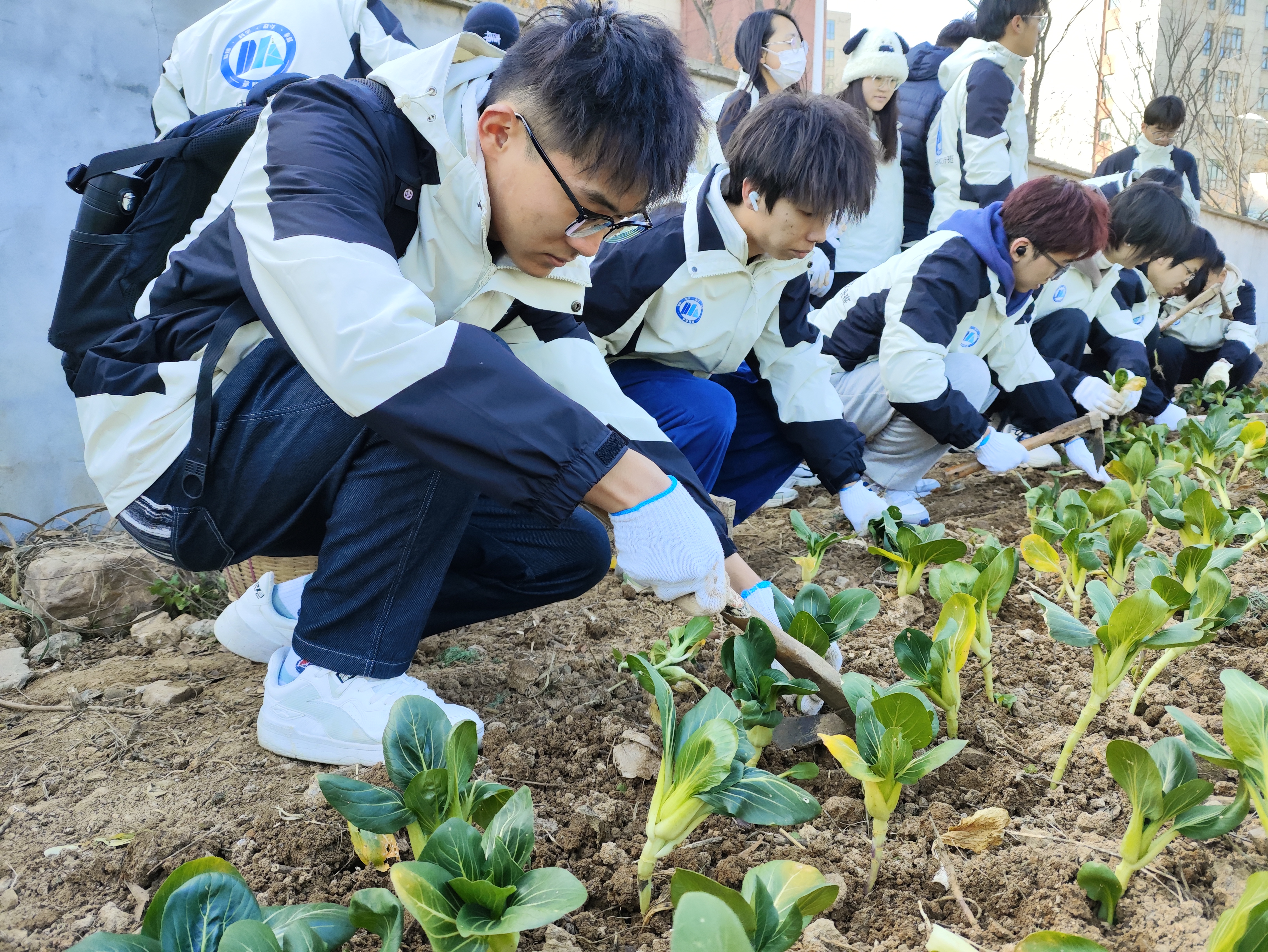 1701421548144170.jpg 劳动4.jpg