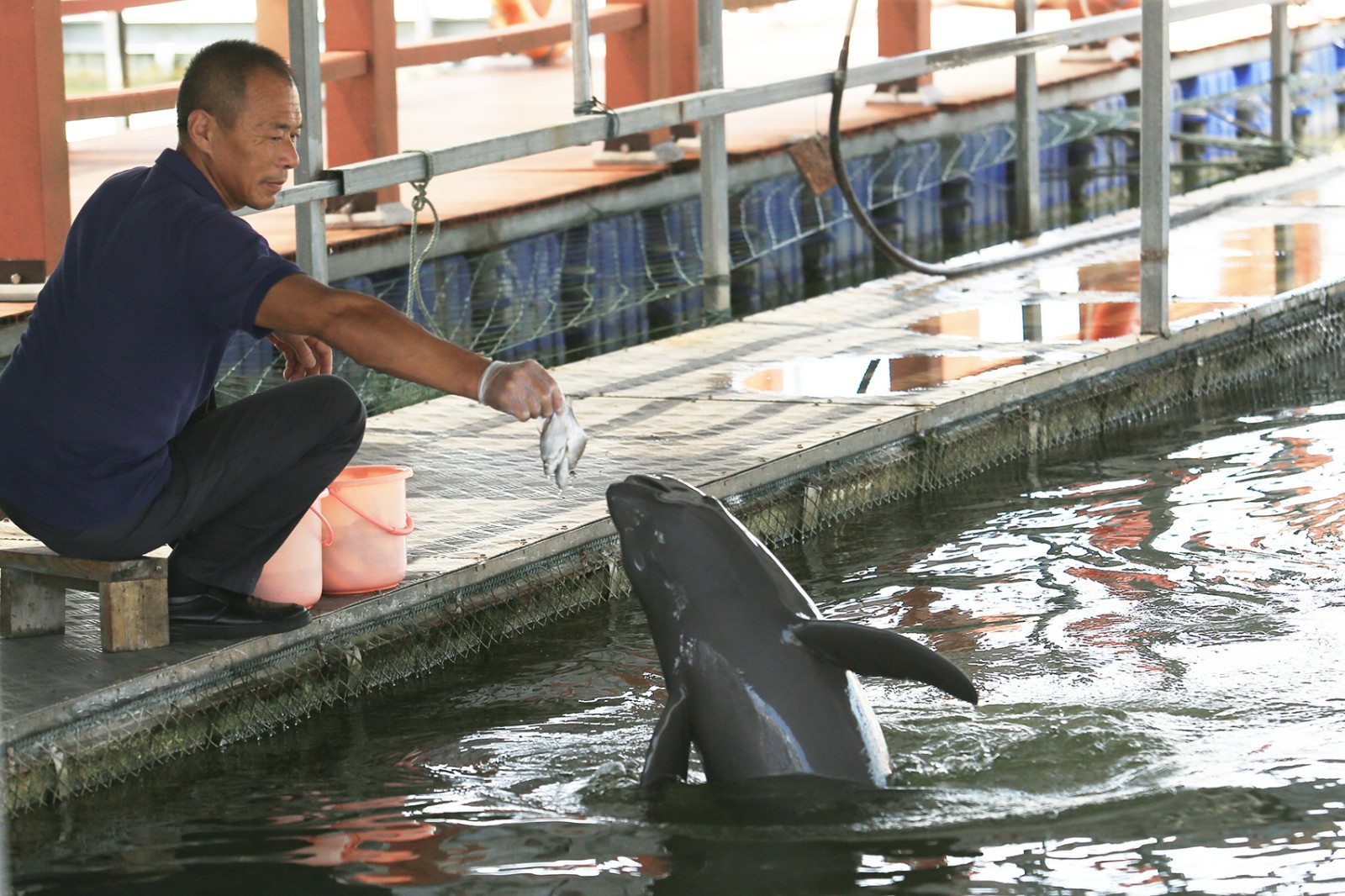 1753196006700947.jpg 配图06.jpg