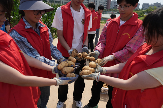 1748395061869237.png image.png