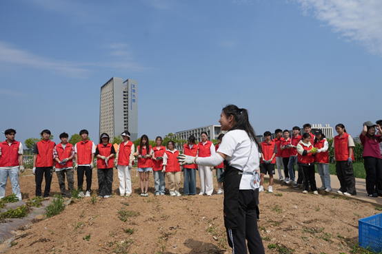 1748395022899662.png image.png